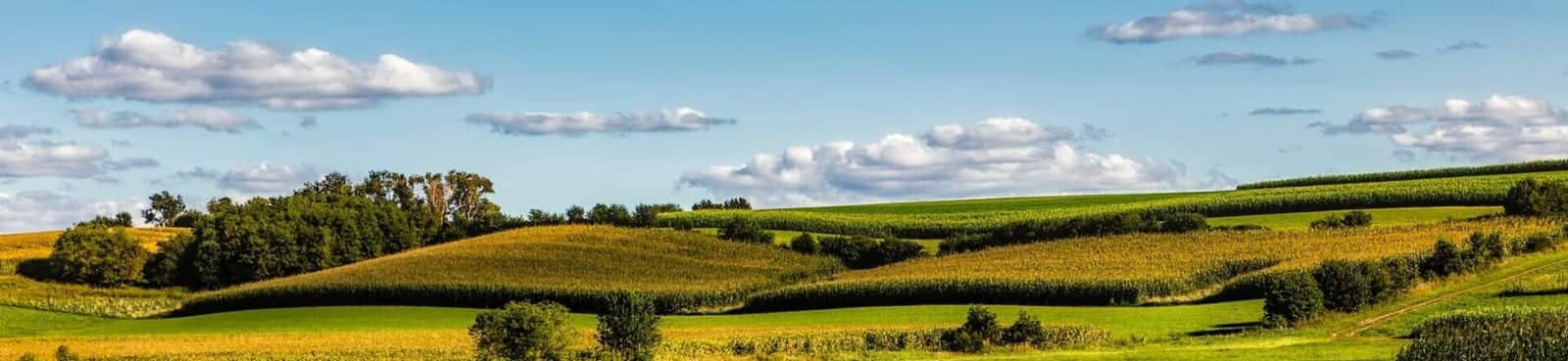 Wisconsin — Wisconsin
