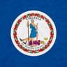 Virginia state flag