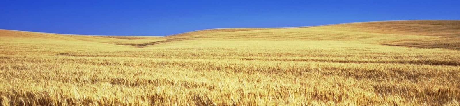 Kansas — Kansas