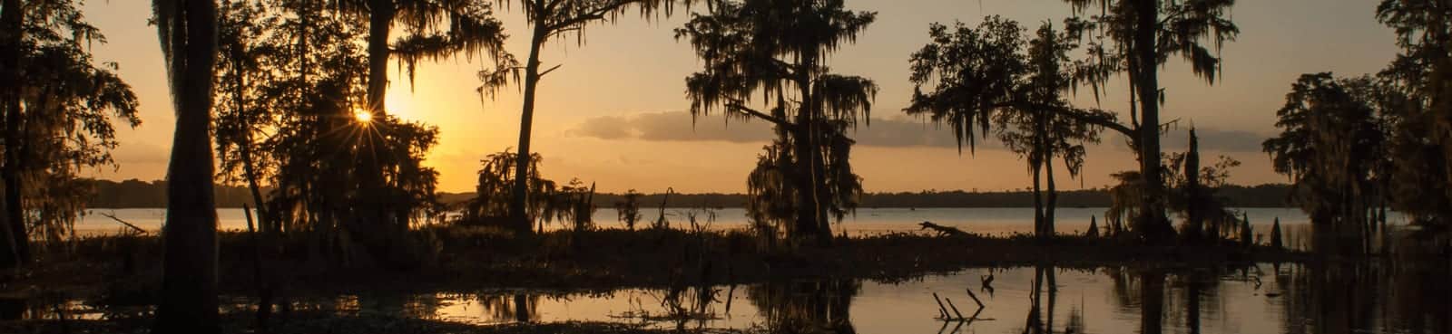Louisiana — Louisiana