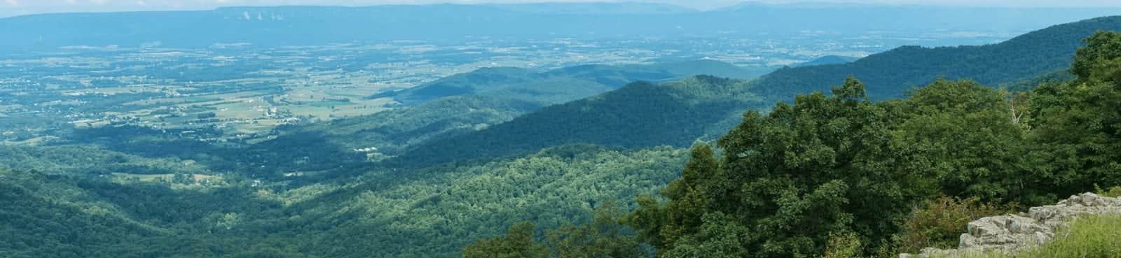 Virginia — Virginia