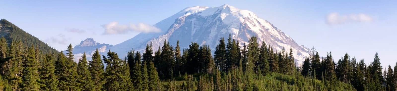 Washington — Washington